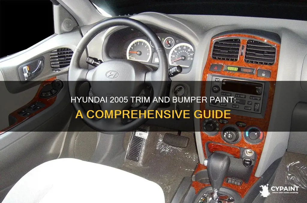 what is 2005 hyundai trim and bumper paint