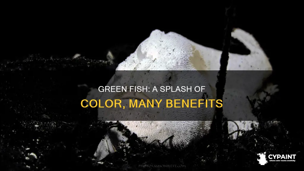 what is a benefit for the painted green fish