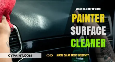 Affordable Auto Painter Surface Cleaner: A Budget-Friendly Solution