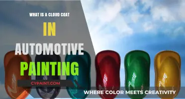 Understanding Cloud Coat: A Unique Automotive Painting Technique Explained