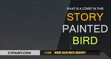 The Painted Bird: A Comet's Tale of Hope and Resilience