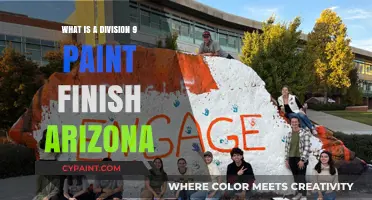 Understanding Arizona's Division 9 Paint Finish: A Comprehensive Guide