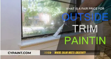 Trim Painting: Fair Pricing for Exterior Work