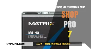 Exploring Filter Matrices in Paint Shop Pro 7: A Comprehensive Guide