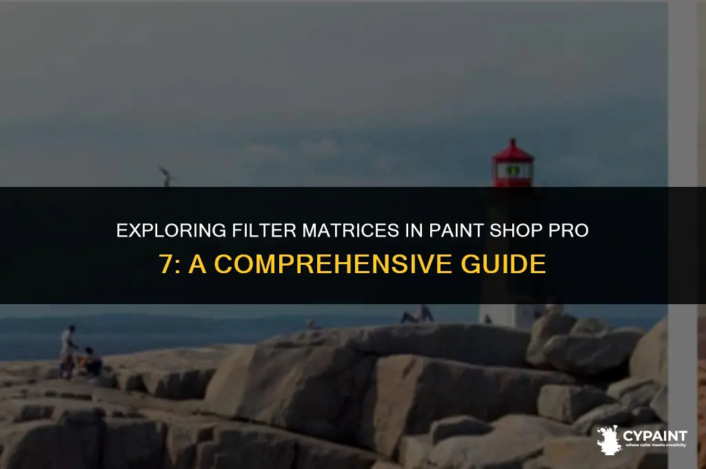 what is a filter matrix in paint shop pro 7