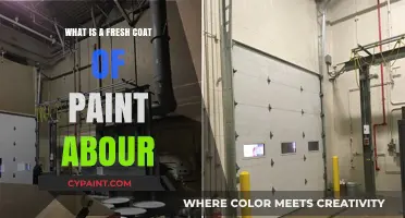 Revitalize Your Space: The Transformative Power of a Fresh Coat of Paint