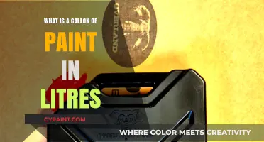 Gallon to Litre Conversion: Understanding Paint Measurements Easily