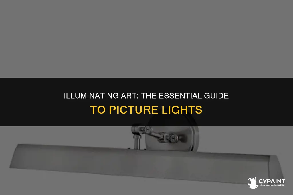 what is a light that goes over a painting called