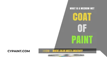 Understanding Medium Wet Paint Coats: Techniques, Benefits, and Application Tips