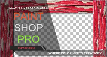 Merging Images: Paint Shop Pro's Unique Feature
