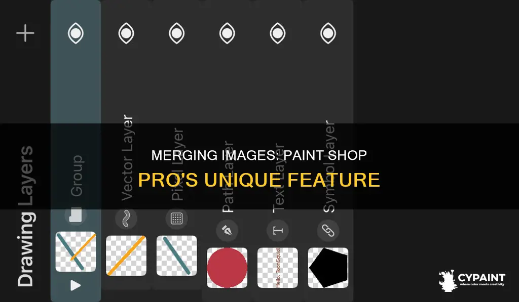 what is a merged image in paint shop pro