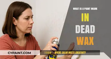 Understanding Paint Marks in Dead Wax: A Vinyl Record Mystery