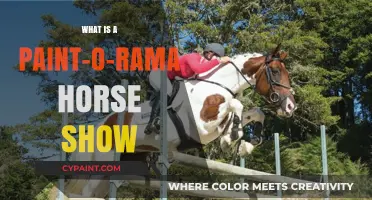 Paint-O-Rama Horse Shows: A Beginner's Guide to the Colorful Event
