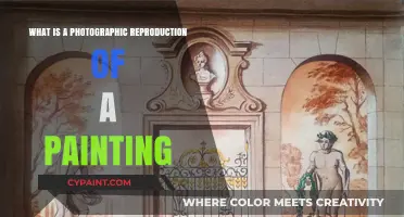 Exploring Photographic Reproductions: Capturing the Essence of Paintings