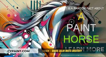 Unusual Truths About Paint Horses
