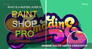 Understanding Raster Layers in Paint Shop Pro