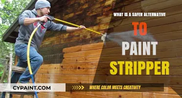 Eco-Friendly Paint Removal: Discover Safer Alternatives to Chemical Strippers