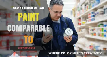 Sherwin Williams Paint Alternatives: Top Comparable Brands and Matches