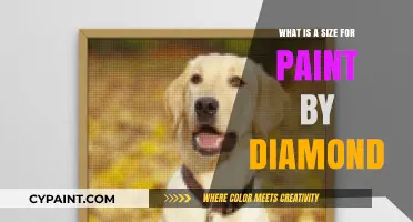 Discover the Perfect Paint by Diamond Canvas Size for You