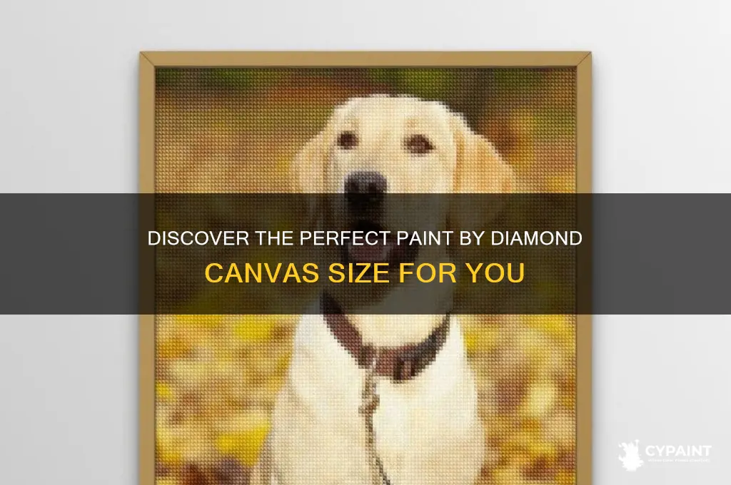 what is a size for paint by diamond