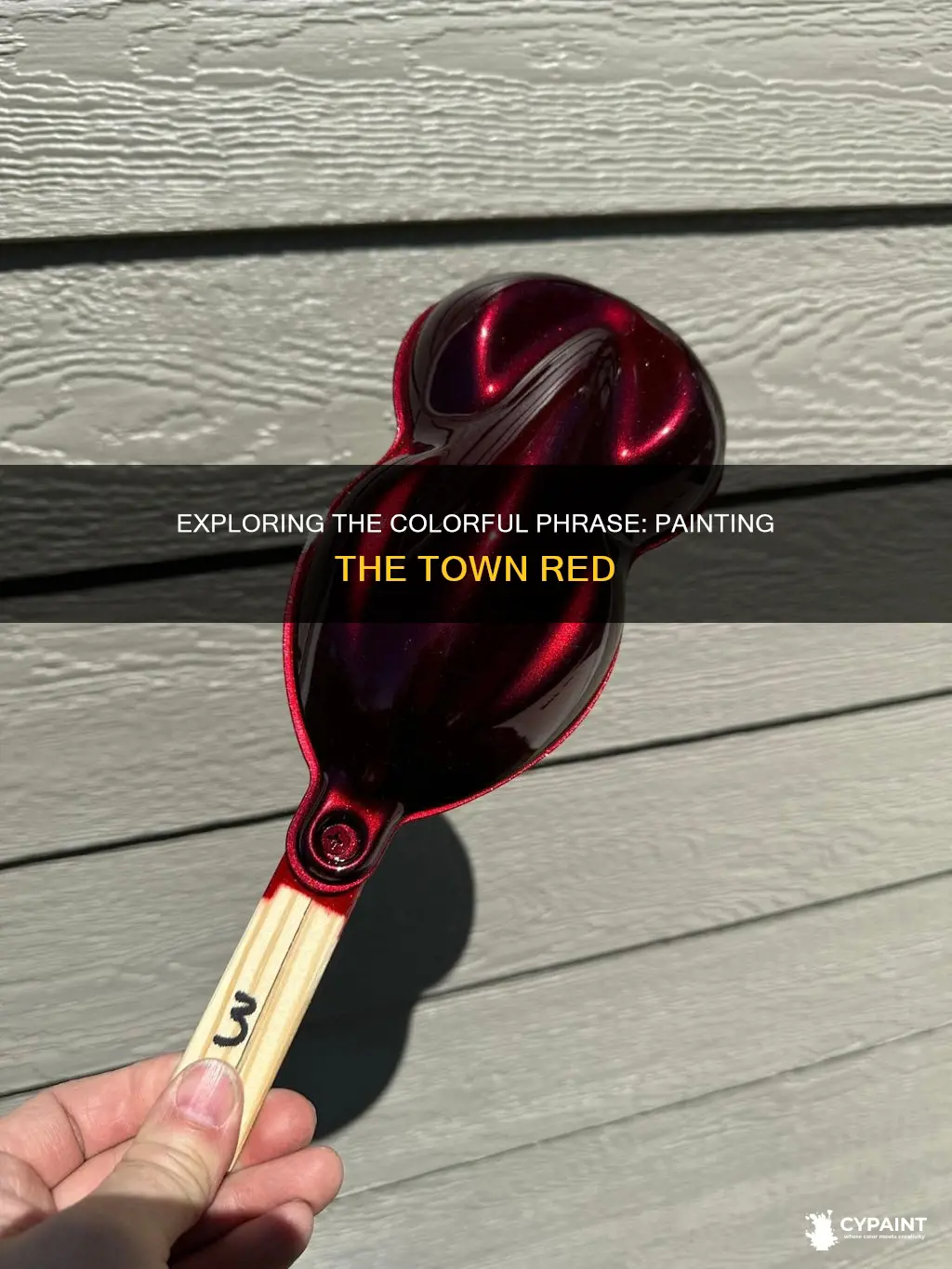 what is a synonym for paint the town red