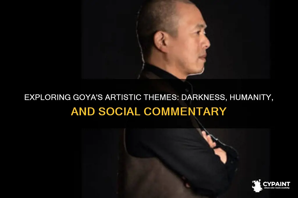 what is a theme of goya