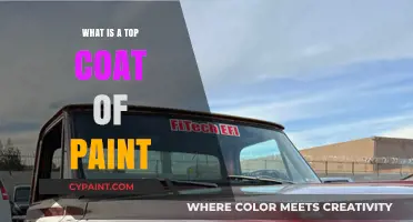 Understanding the Purpose and Benefits of a Top Coat of Paint