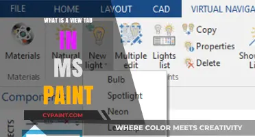 Understanding the View Tab in MS Paint: Features and Functions