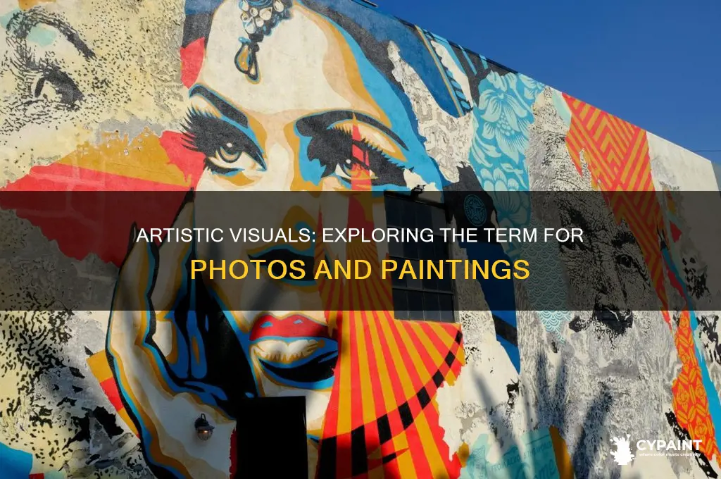 what is a word for photo and painting