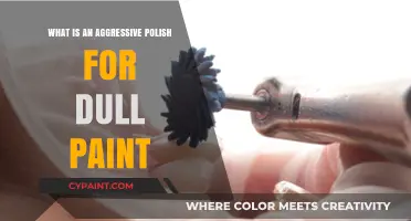 Revive Dull Paint: Understanding Aggressive Polish Techniques for a Glossy Finish
