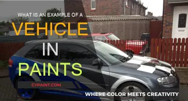 Explore the Vehicle Paint Options