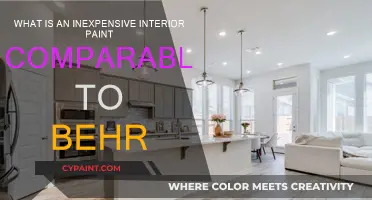 Affordable Alternatives to Behr Paint for Your Interiors