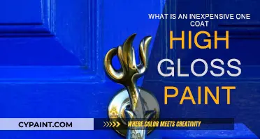 High-Gloss Paint on a Budget: One-Coat Wonders