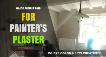 Discovering Alternative Terms for Painter's Plaster: A Comprehensive Guide