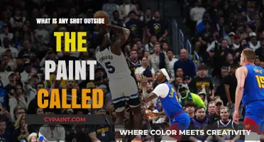 Beyond the Paint: Understanding Basketball's Mid-Range and Long-Range Shots