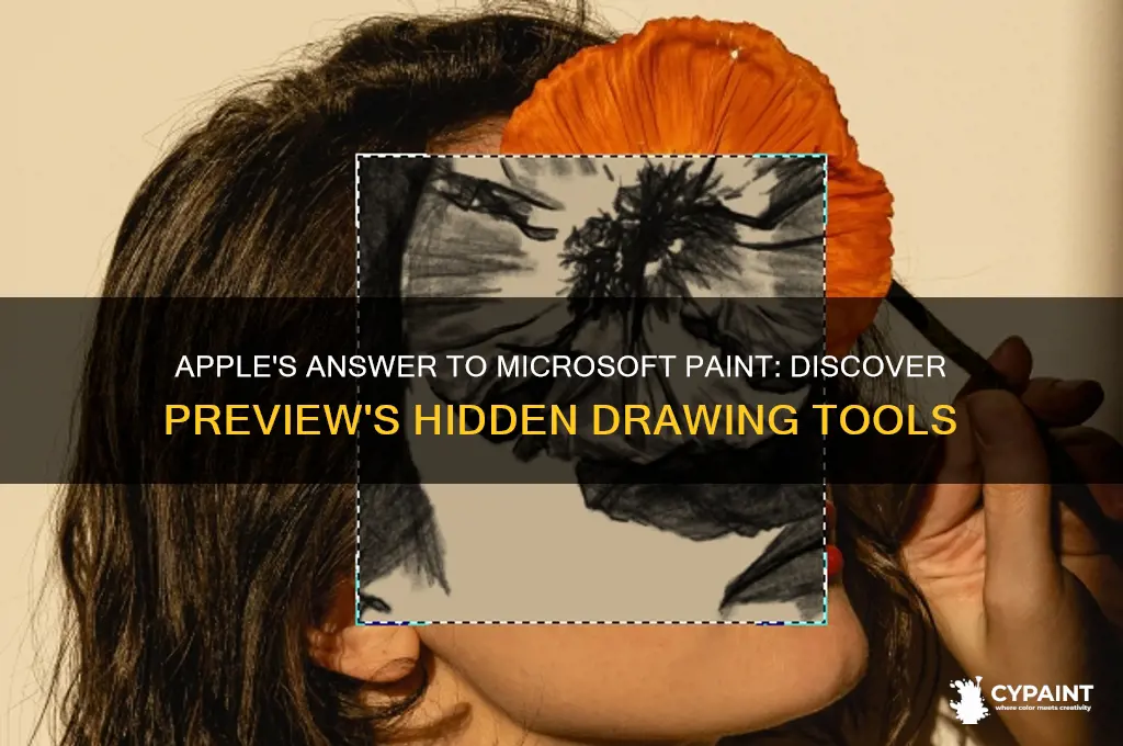 Apple's Answer To Microsoft Paint Discover Preview's Hidden Drawing
