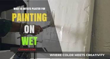 Artists Plaster for Wet Painting: Techniques, Benefits, and Creative Uses
