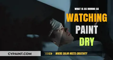 The Ultimate Snooze Fest: Activities as Dull as Watching Paint Dry