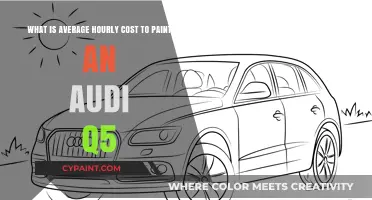 Decoding the Cost: Painting Your Audi Q5 on an Hourly Basis