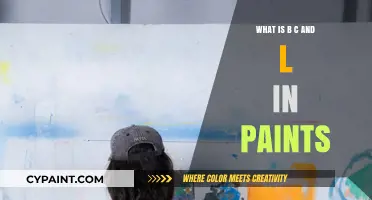 Understanding B, C, and L: Key Components in Paint Composition Explained