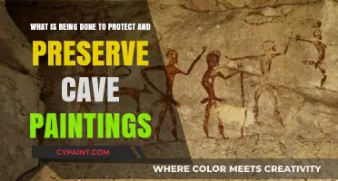 Safeguarding Ancient Art: Efforts to Protect and Preserve Cave Paintings