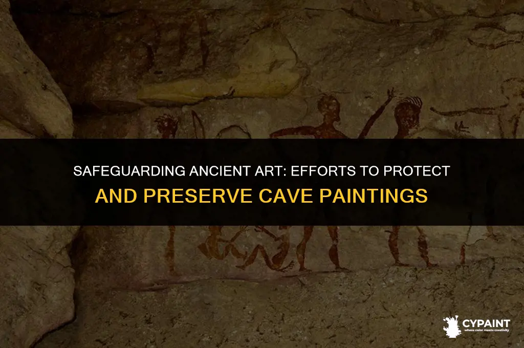 what is being done to protect and preserve cave paintings