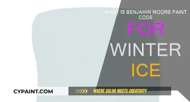 Winter Ice: Benjamin Moore's Paint Code Perfection