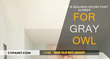 Gray Owl Paint: Benjamin Moore's Go-To Gray