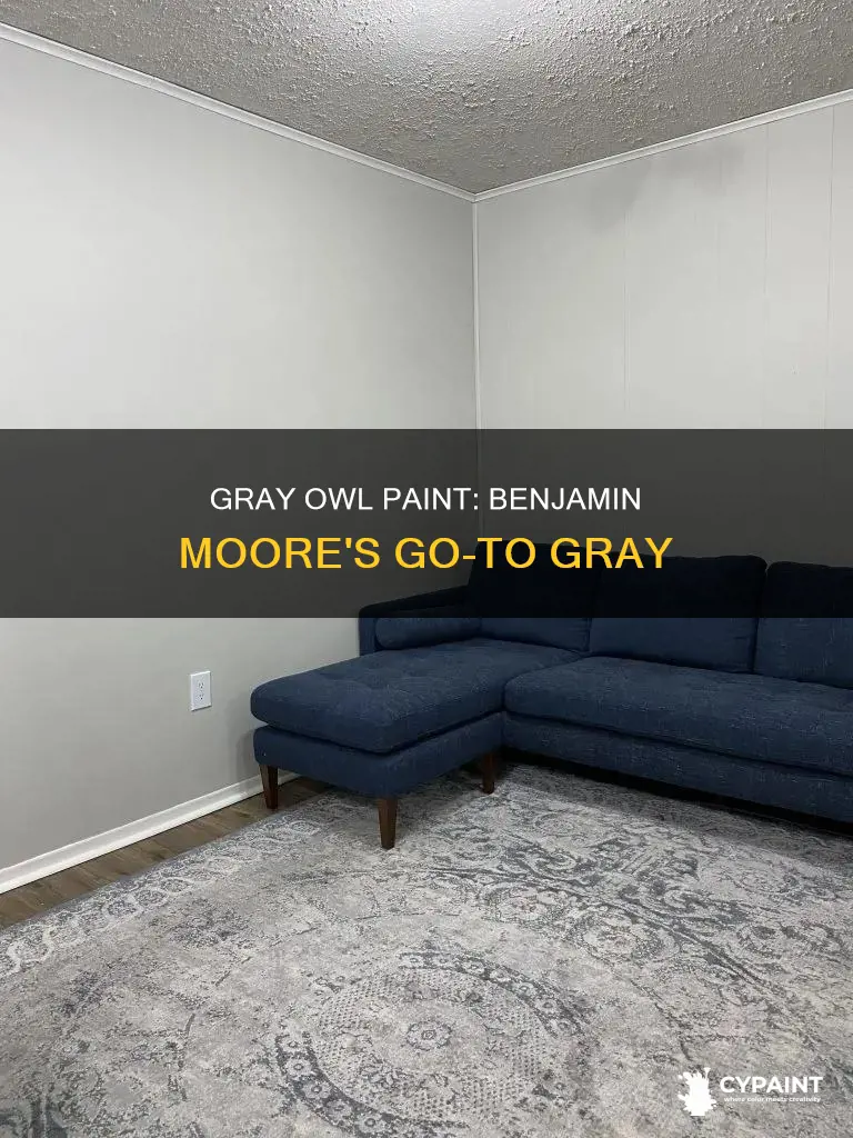 what is benjamin moore paint number for gray owl