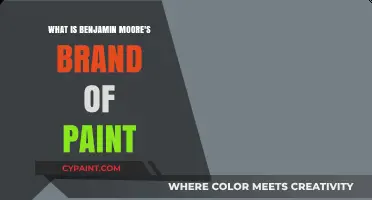 Benjamin Moore Paint: A Premium Brand for Quality and Durability