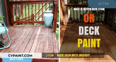 Deck Stain vs. Paint: Which Protects and Enhances Your Deck Best?
