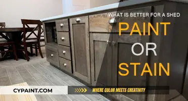 Paint or Stain: Which is Best for Your Shed?