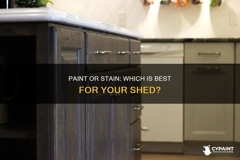 what is better for a shed paint or stain