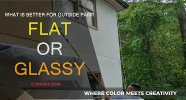 Flat vs. Glossy Paint: Which is Best for Outdoors?